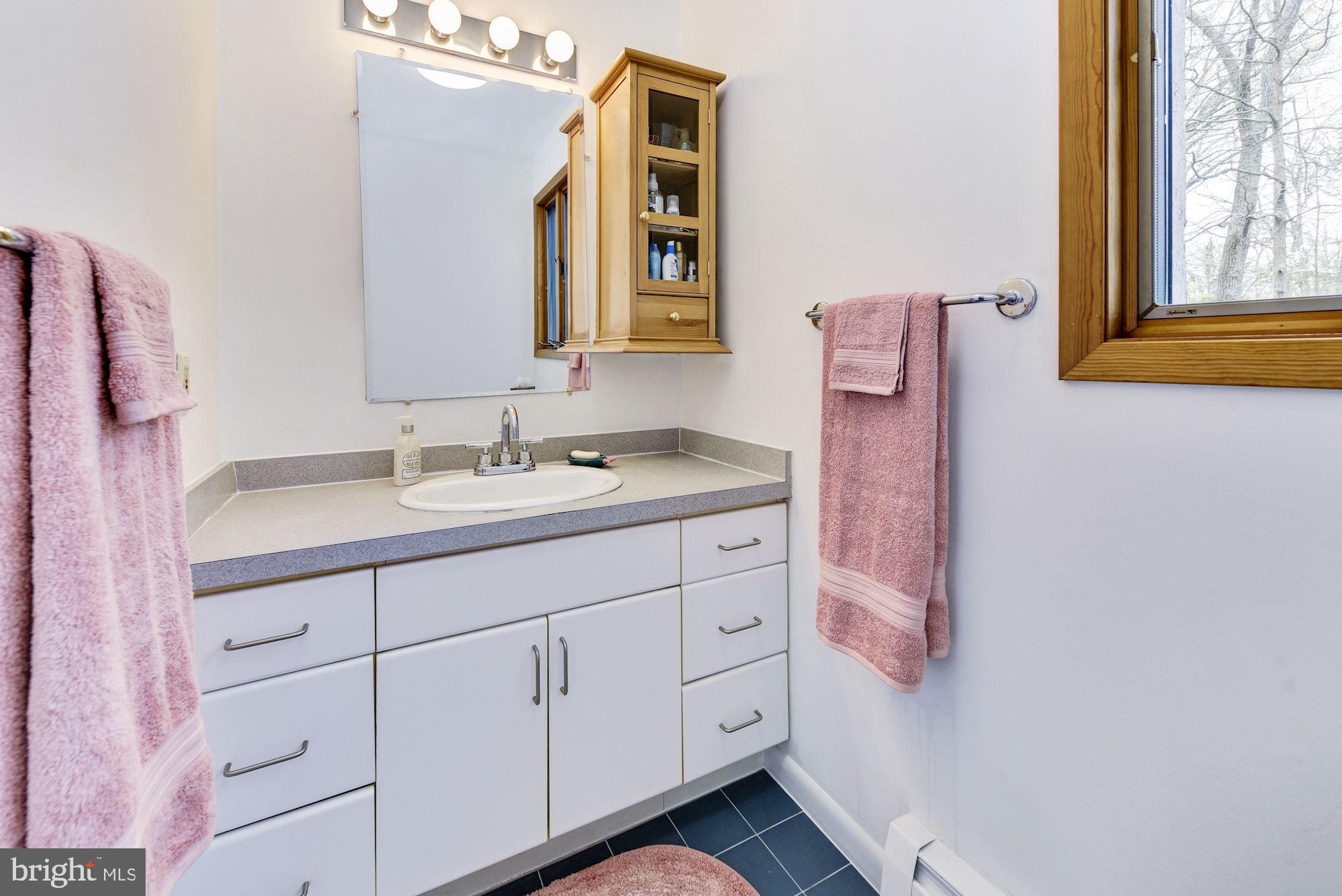 8 Robinson Road Medford, NJ 08055 - Photo 43 of 55 a bathroom with a sink vanity and mirror