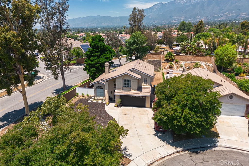 7016 Beal Court Rancho Cucamonga, CA 91701 - Photo 1 of 1 a view of a house with a small yard plants and large tree