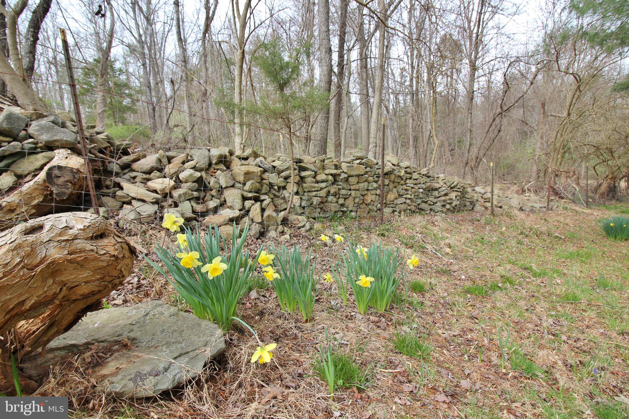 10166 Conde Road Marshall, VA 20115 - Photo 13 of 63 Virginia stack stone border walls on side yard