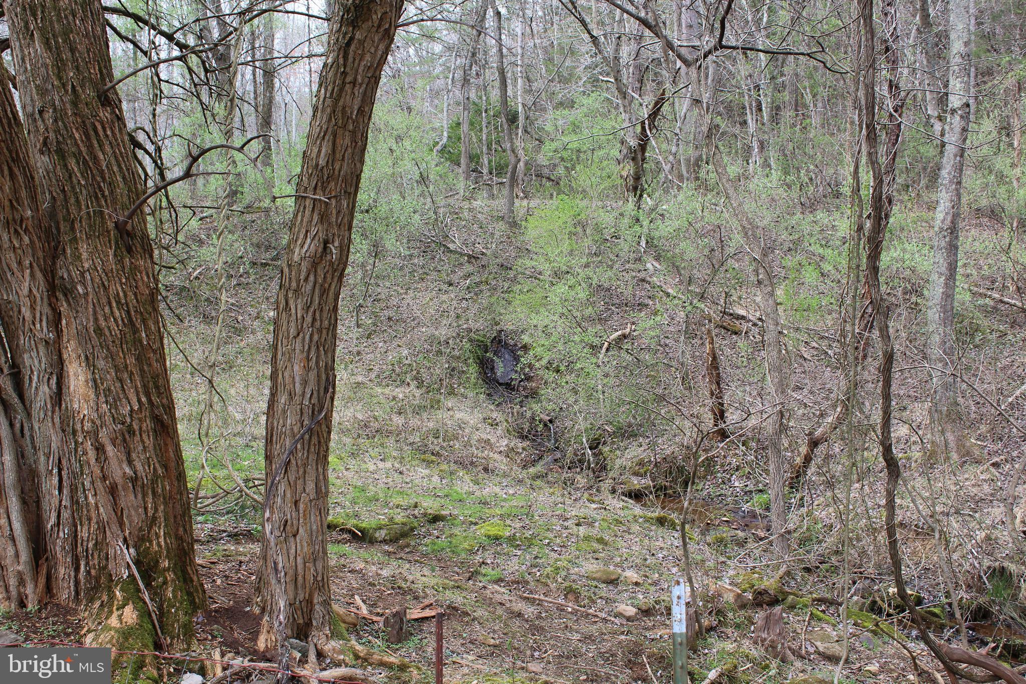 10166 Conde Road Marshall, VA 20115 - Photo 17 of 63 Stock pond on close neighbor's land, fish & geese