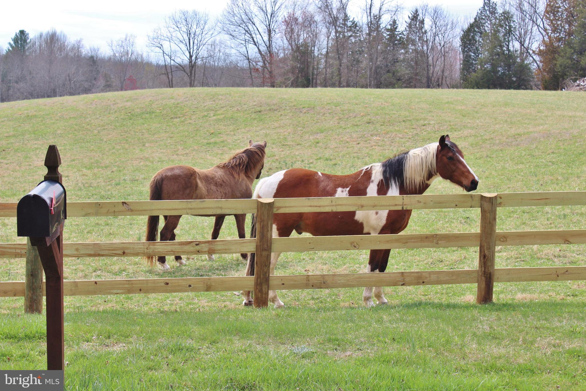 10166 Conde Road Marshall, VA 20115 - Photo 18 of 63 Very friendly neighbors across the street.