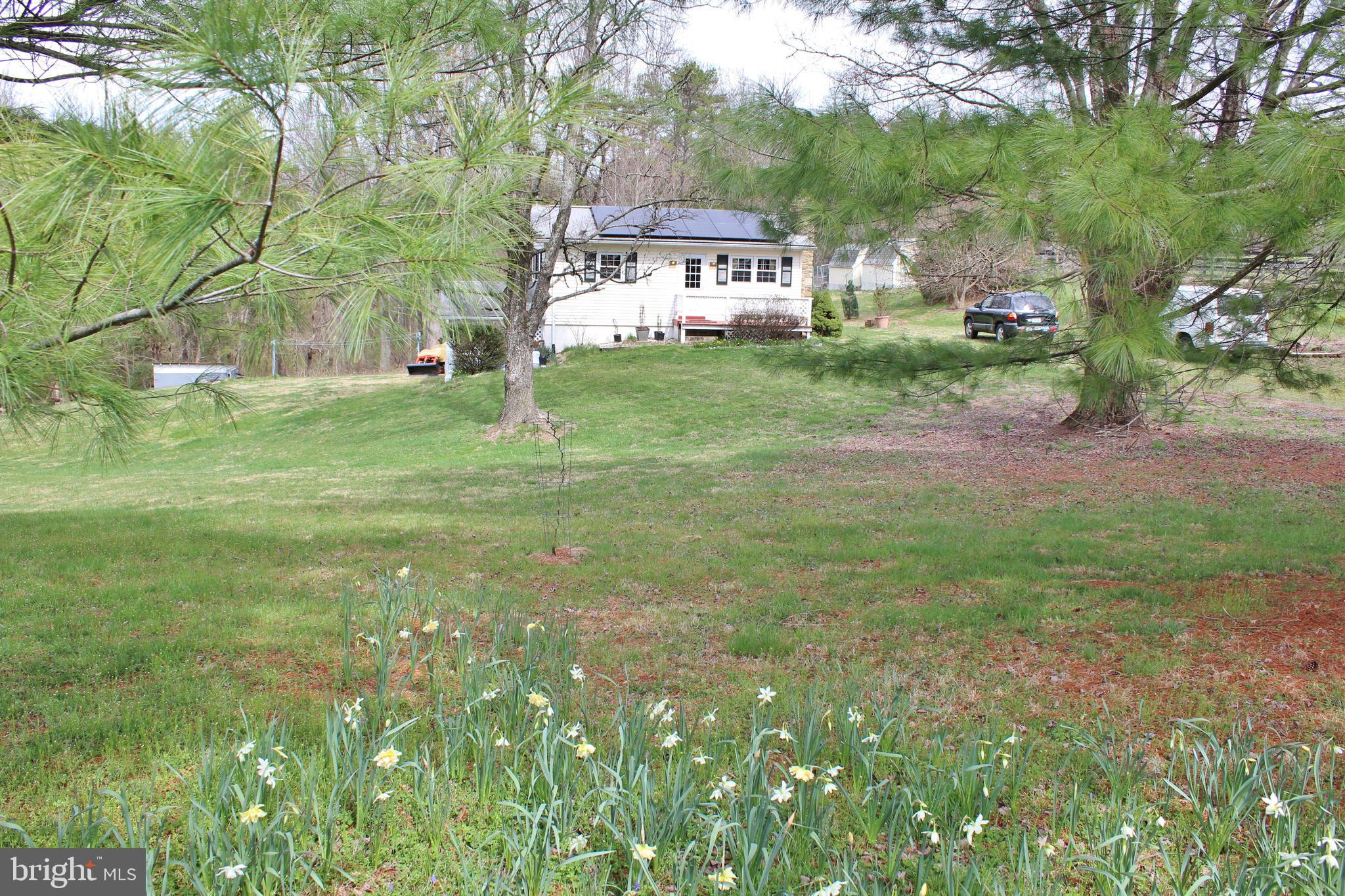 10166 Conde Road Marshall, VA 20115 - Photo 27 of 63 Naturalized plantings everywhere