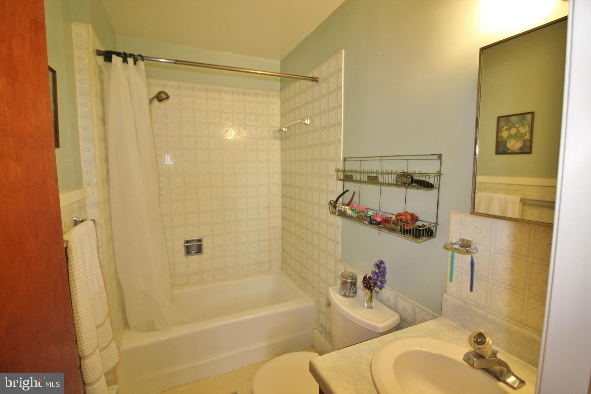 10166 Conde Road Marshall, VA 20115 - Photo 33 of 63 Full bath on main level.