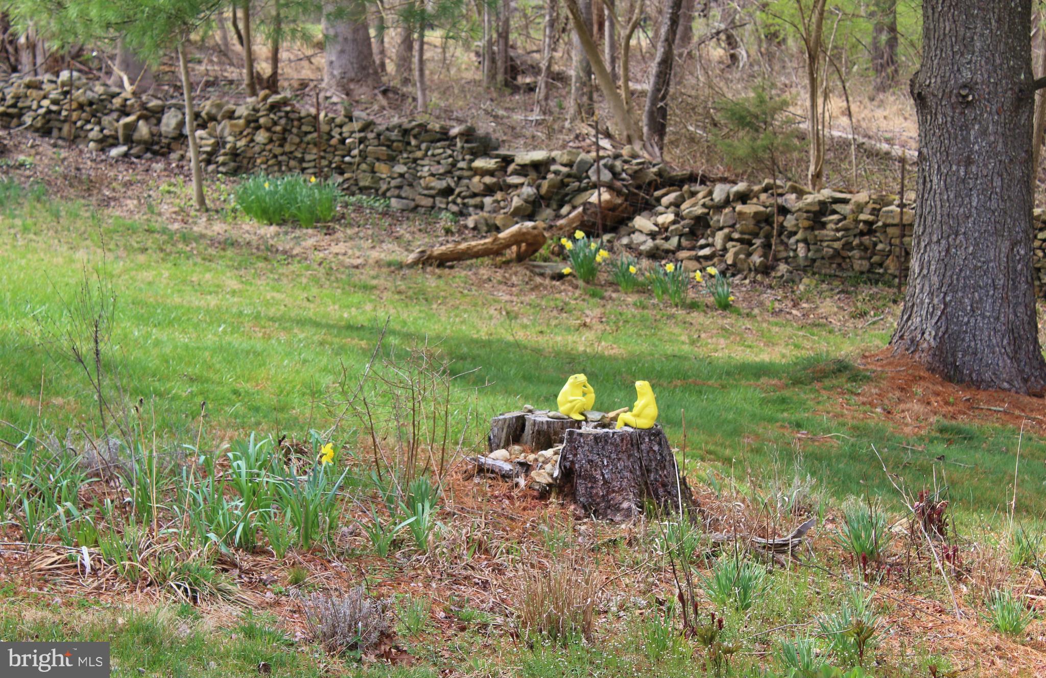 10166 Conde Road Marshall, VA 20115 - Photo 39 of 63 This could be your yard.