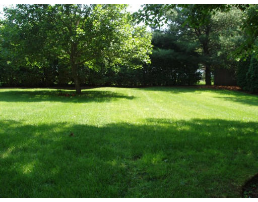 6 Partridge Way Canton, MA 02021 - Photo 24 of 25 a view of a yard