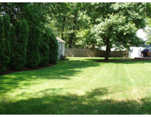 6 Partridge Way Canton, MA 02021 - Photo 25 of 25 a view of a yard with a trees