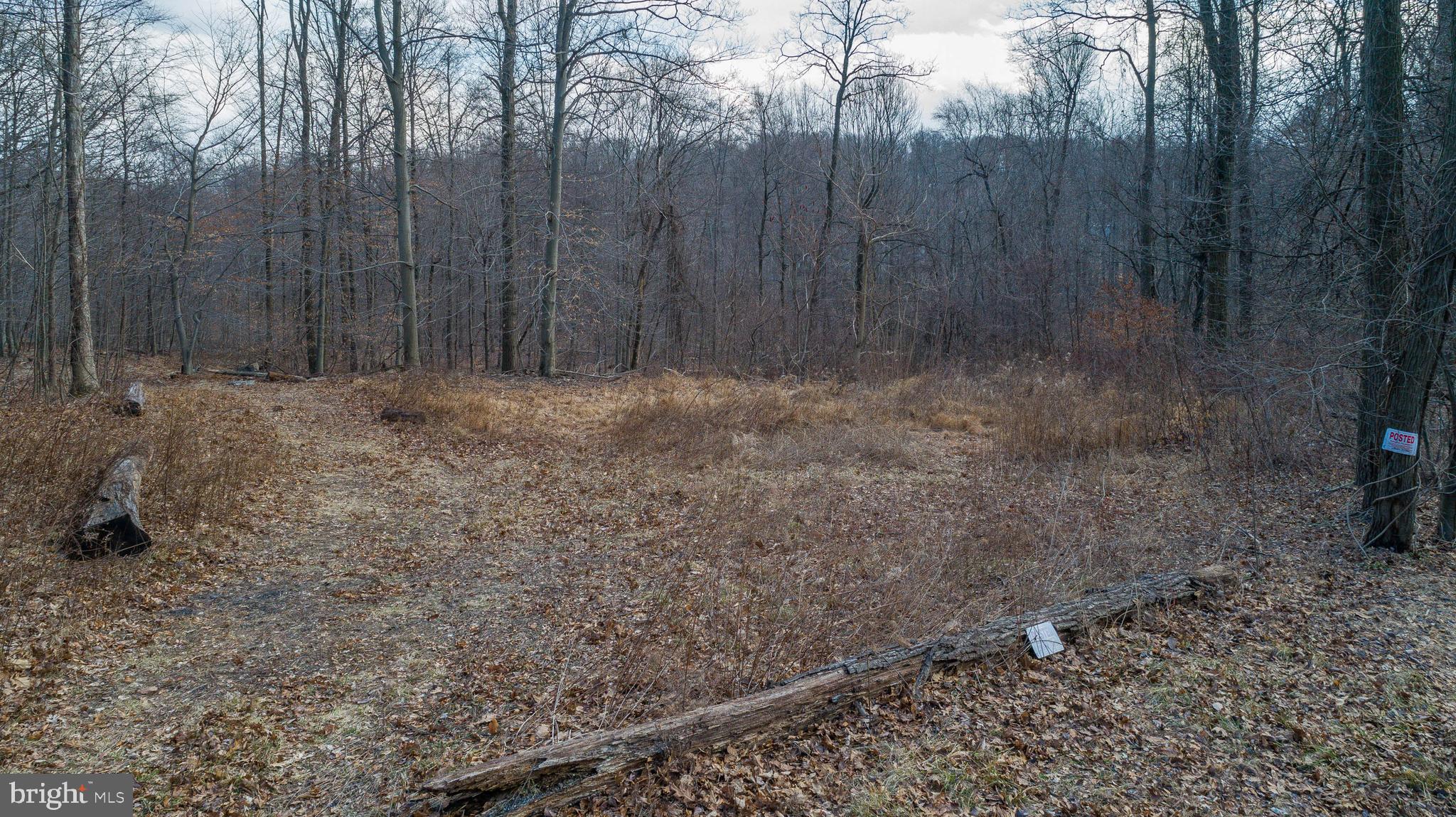 Wanner Road Reading, PA 19606 - Photo 3 of 12
