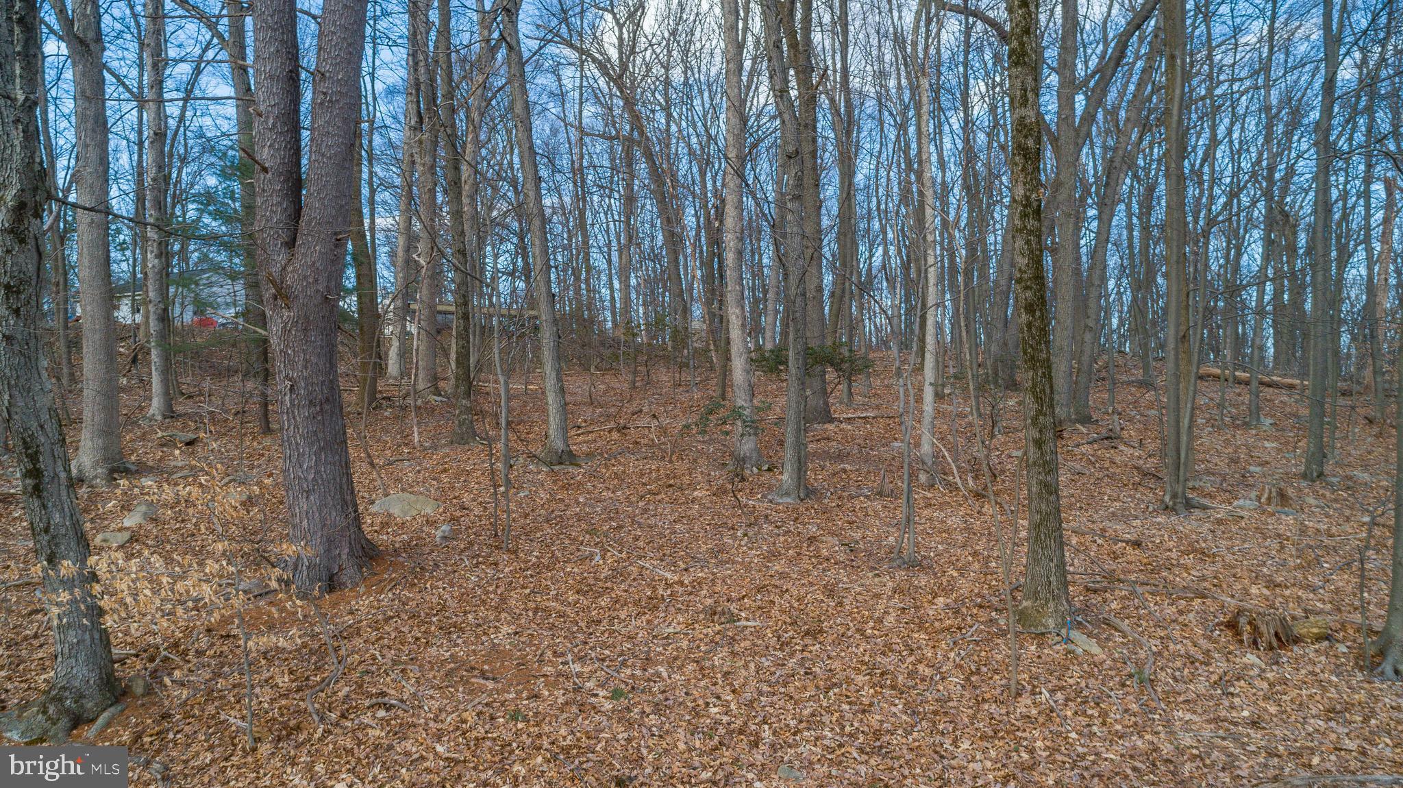 Wanner Road Reading, PA 19606 - Photo 4 of 12