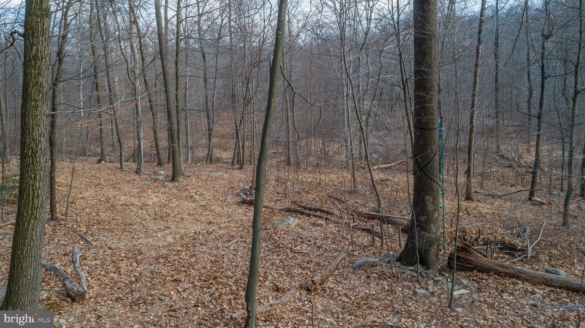 Wanner Road Reading, PA 19606 - Photo 5 of 12