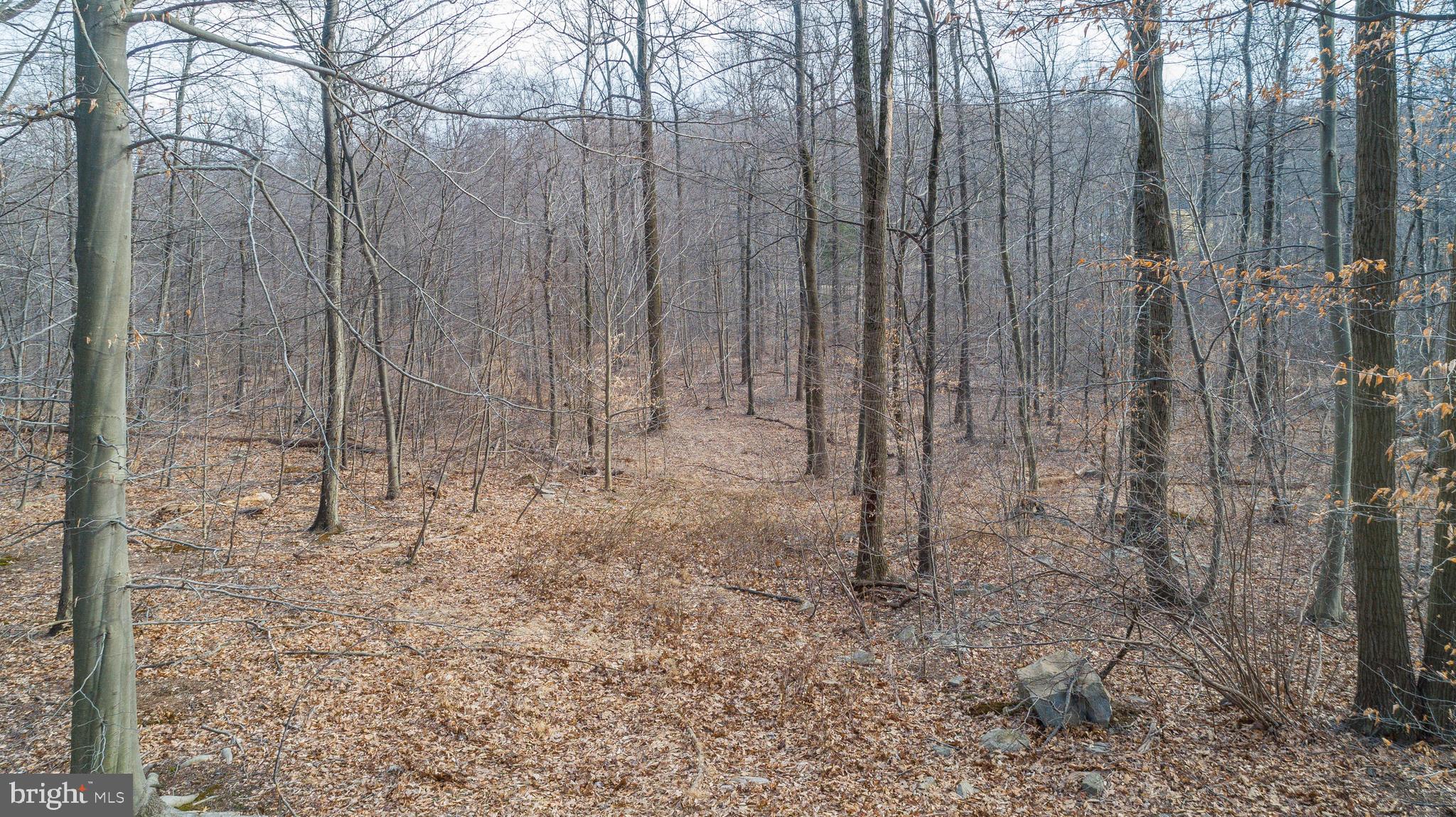 Wanner Road Reading, PA 19606 - Photo 6 of 12