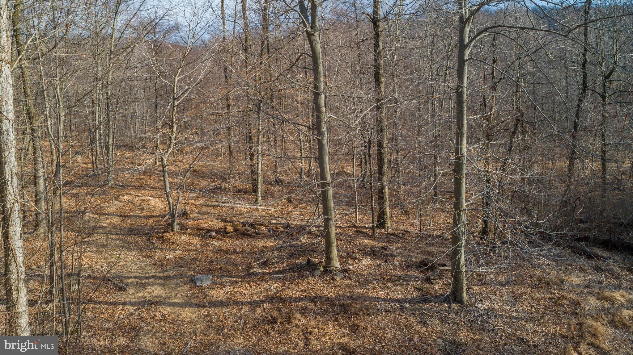 Wanner Road Reading, PA 19606 - Photo 7 of 12