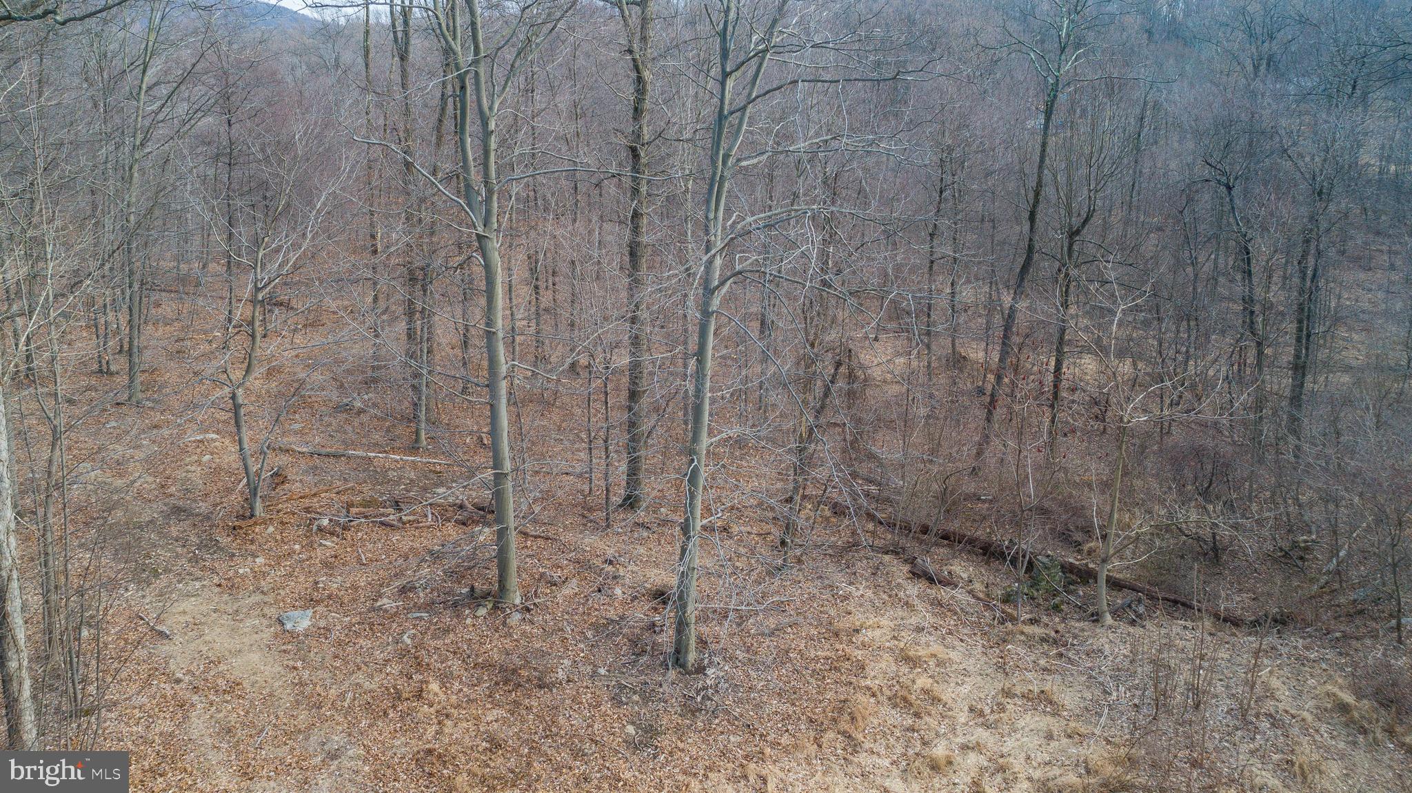 Wanner Road Reading, PA 19606 - Photo 8 of 12
