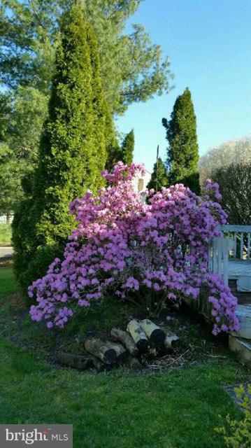 15 Dover Road Westampton, NJ 08060 - Photo 26 of 30