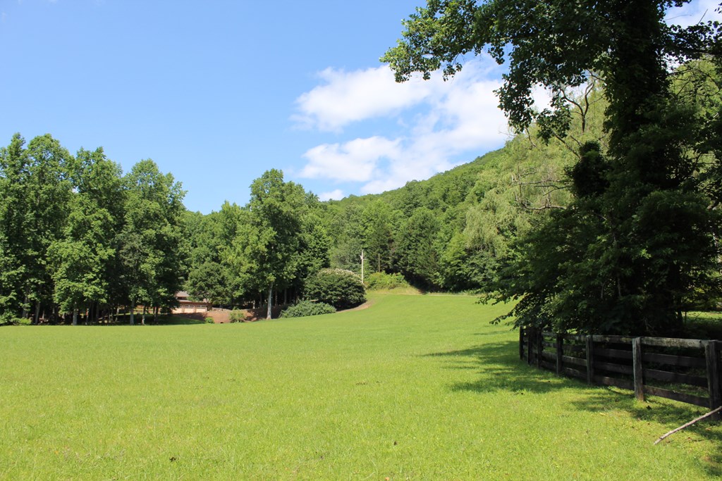 0 Wolf Mountain Road Murphy, NC 28906 - Photo 6 of 9