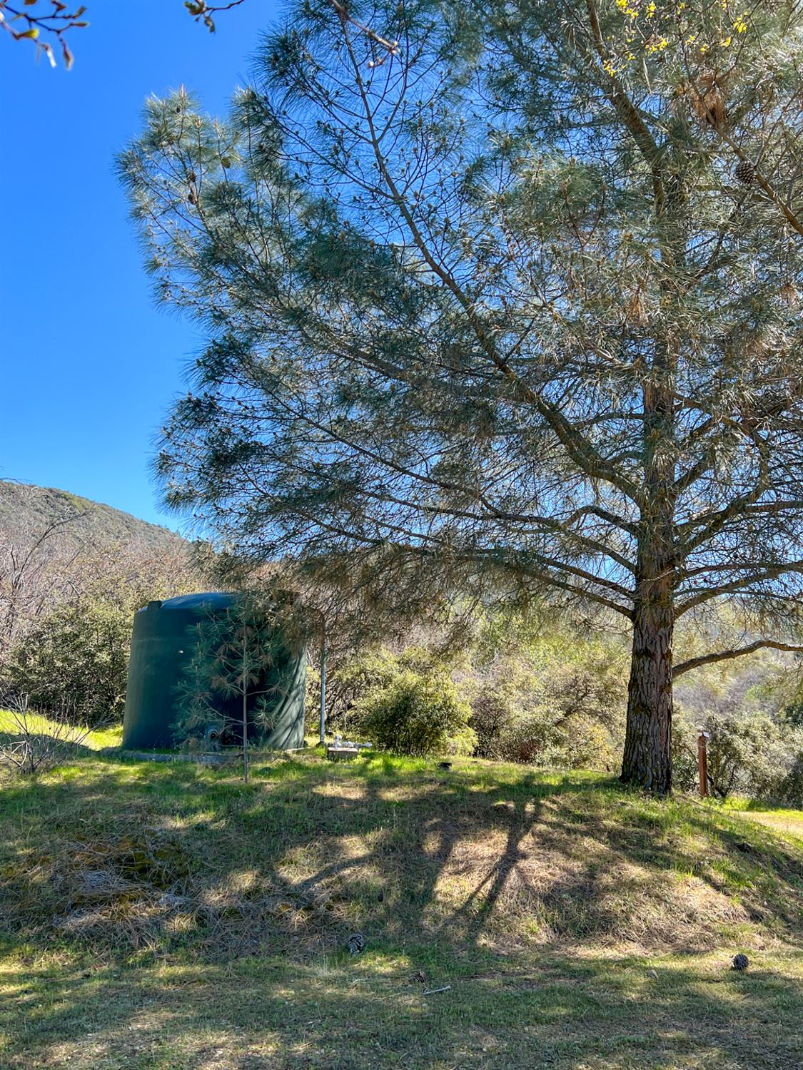 44981 Todd Eymann Road Dunlap, CA 93621 - Photo 43 of 74 Gallery Image 43