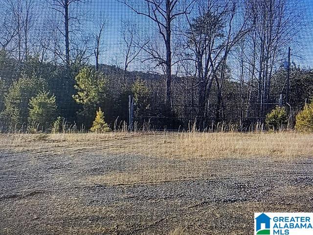 13330 Lock 17 Road, Unit ACREAGE Adger, AL 35006 - Photo 9 of 10 Gallery Image 9