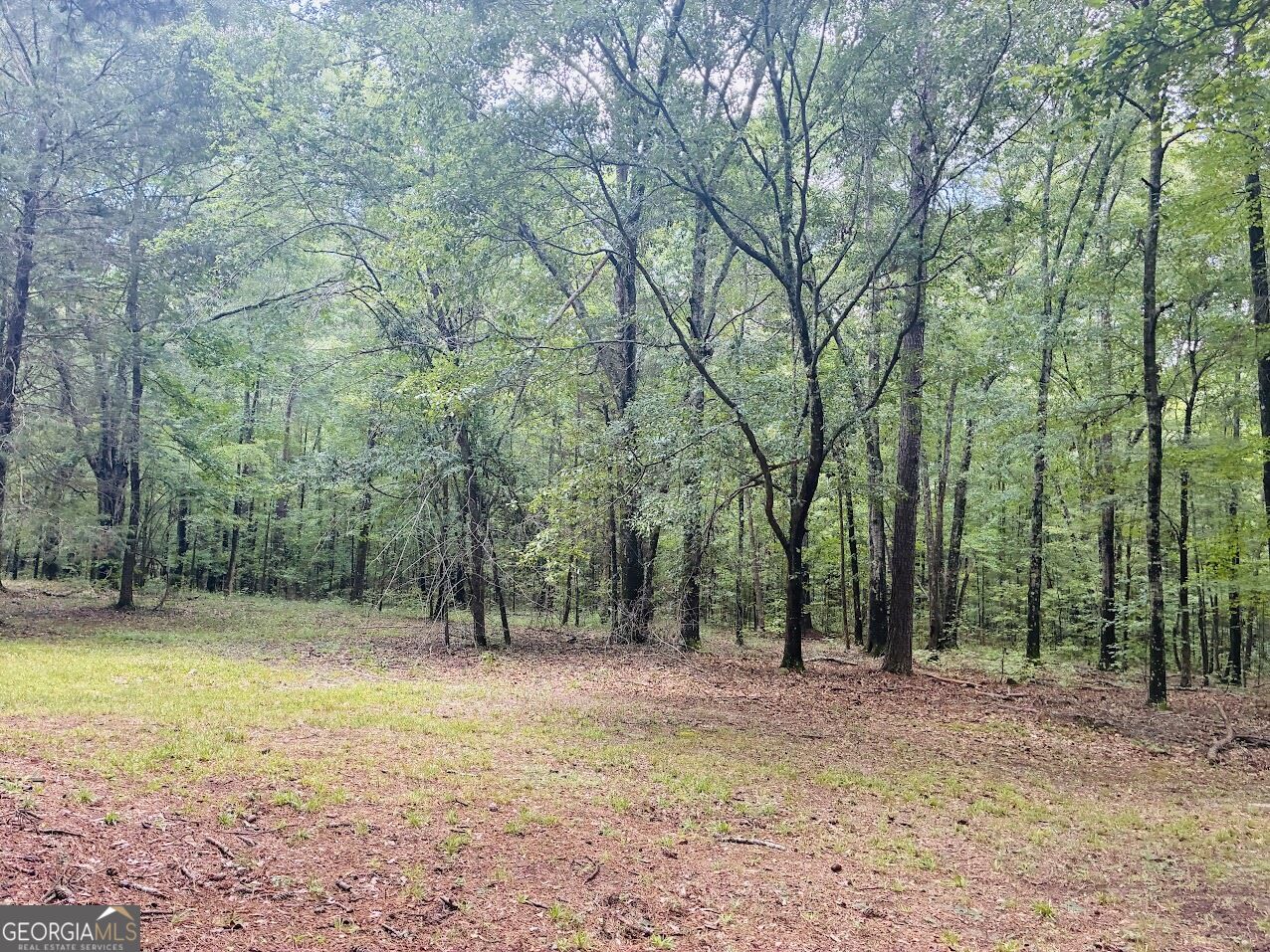 3889 Greenville Road LaGrange, GA 30241 - Photo 44 of 63 Gallery Image 44