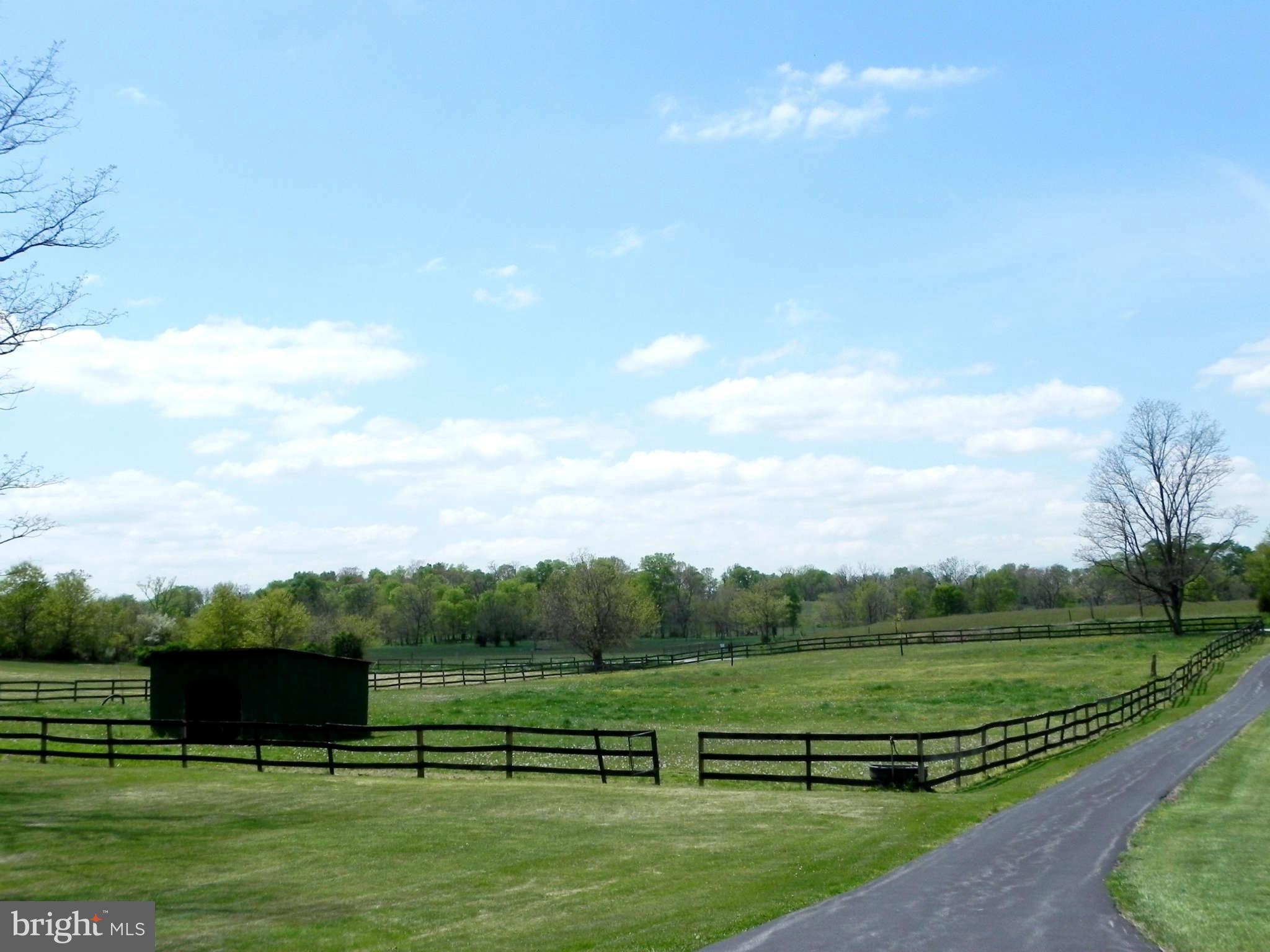 582 Earle Road Charles Town, WV 25414 - Photo 22 of 29 Front Paddock