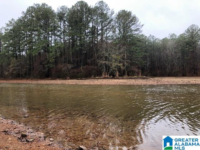 0 Lakeside Lane, Unit 31 Alpine, AL 35014 - Photo 17 of 42
