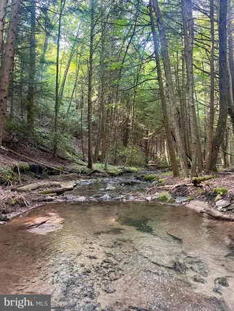 $4,343,000 | 2500 Beech Creek Mountain Road, Beech Creek, PA 16822