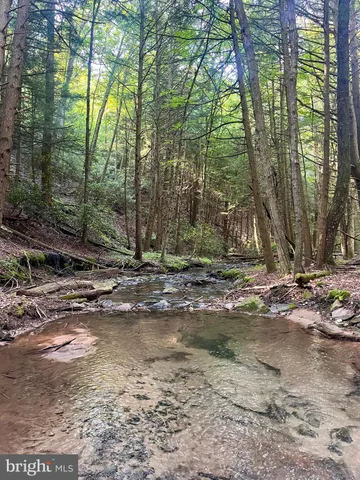 $4,579,000 | 2500 Beech Creek Mountain Road, Beech Creek, PA 16822