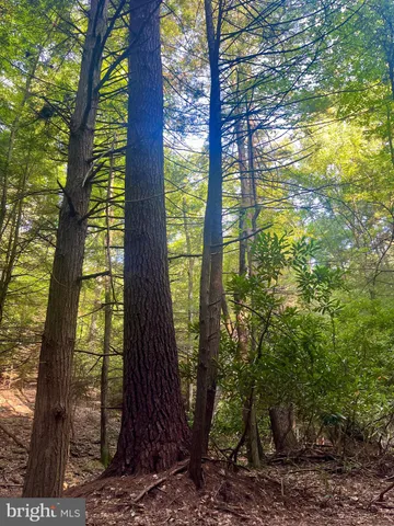 $4,343,000 | 2500 Beech Creek Mountain Road, Beech Creek, PA 16822