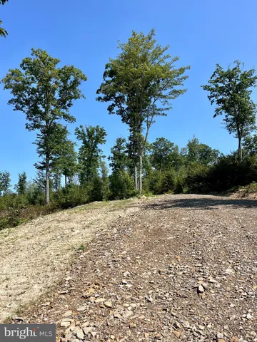 a street view with mountain view