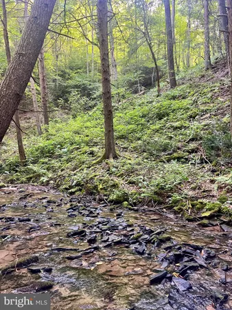 $4,343,000 | 2500 Beech Creek Mountain Road, Beech Creek, PA 16822
