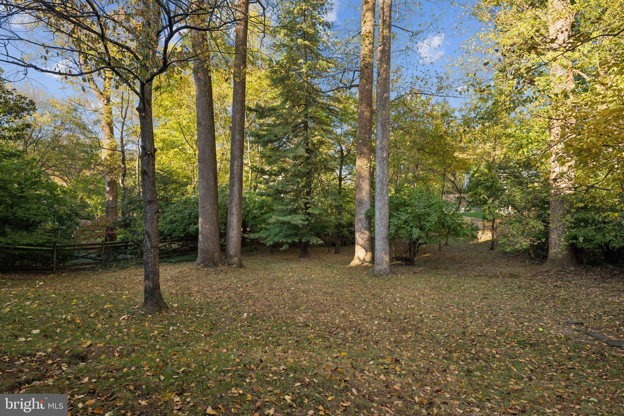 6 Spring Hill Court Chevy Chase, MD 20815 - Photo 25 of 26 Rear Yard