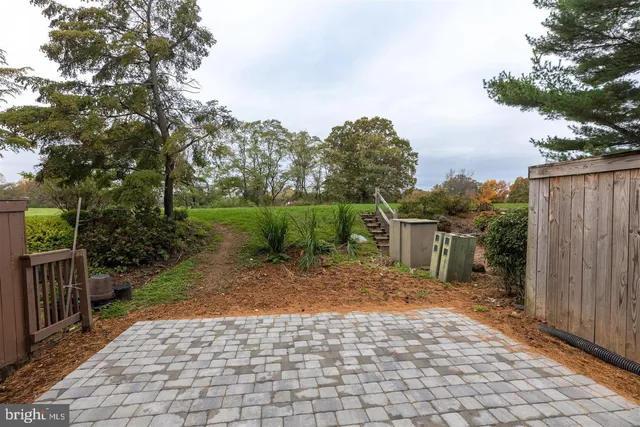 a view of field with tall trees