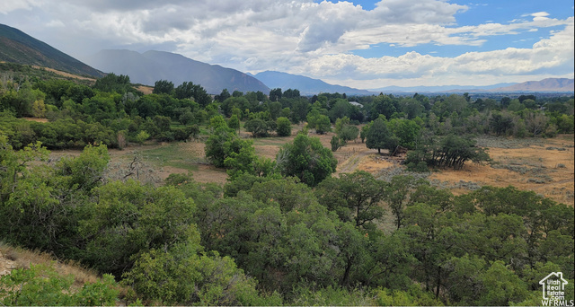 550 North 2000th Street East Mapleton, UT 84664 - Photo 6 of 16 View of mountain backdrop