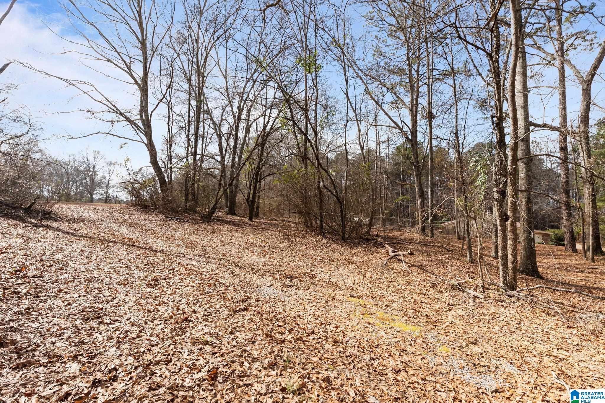 3926 County Road 37 Clanton, AL 35045 - Photo 14 of 42