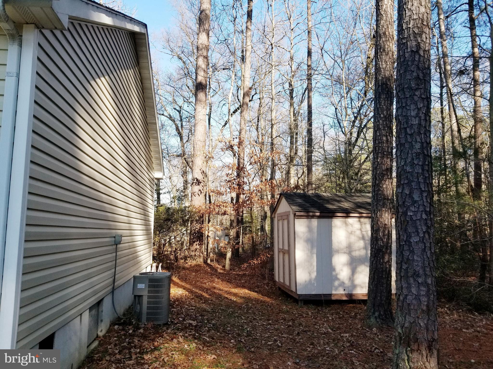 328 12th Street Colonial Beach, VA 22443 - Photo 3 of 17 a view of a backyard with large trees