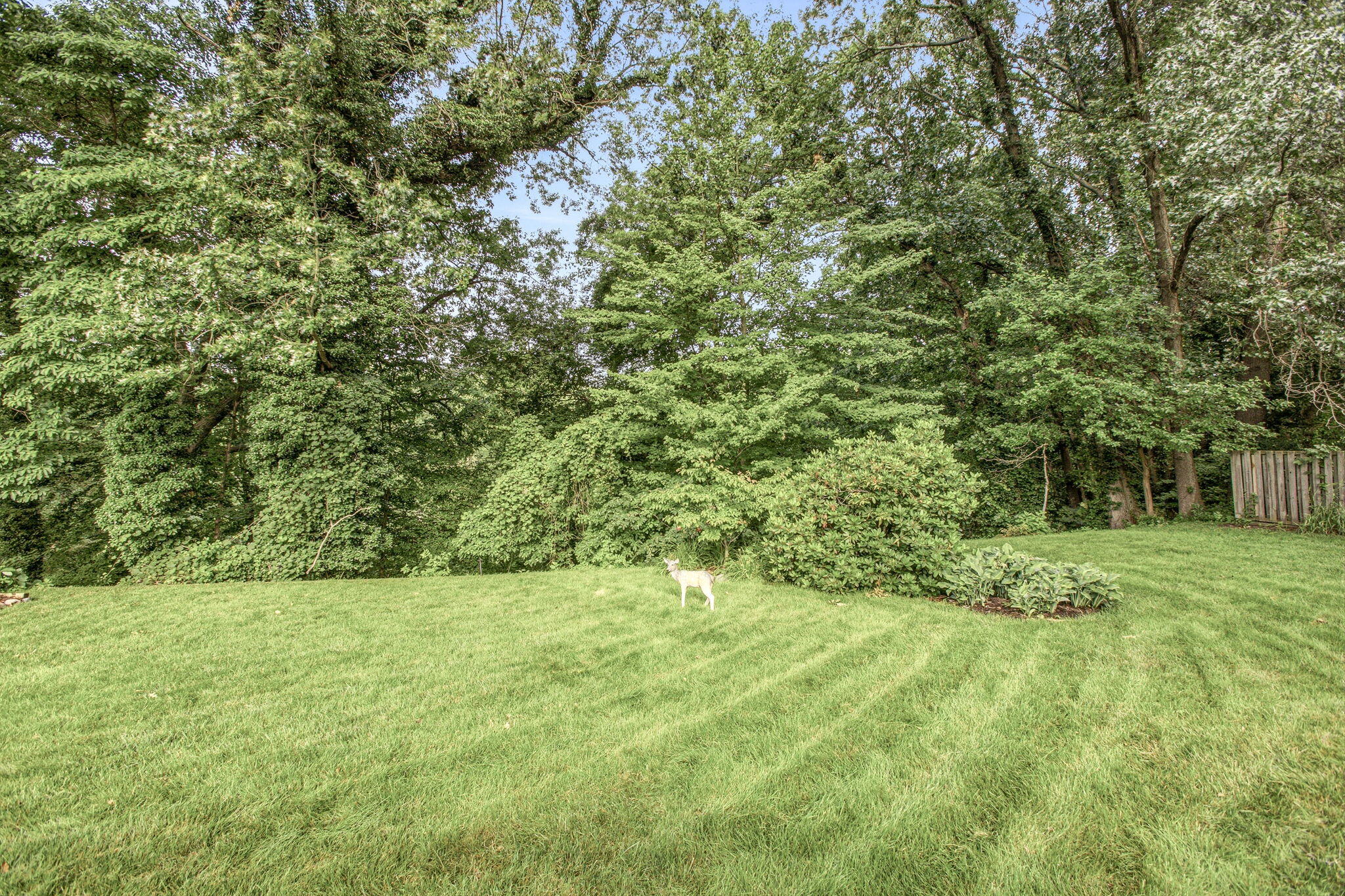 3790 Blenheim Road St. Joseph, MI 49085 - Photo 52 of 53 52-web-or-mls-3790Blenheim_SkyVibeMedia-