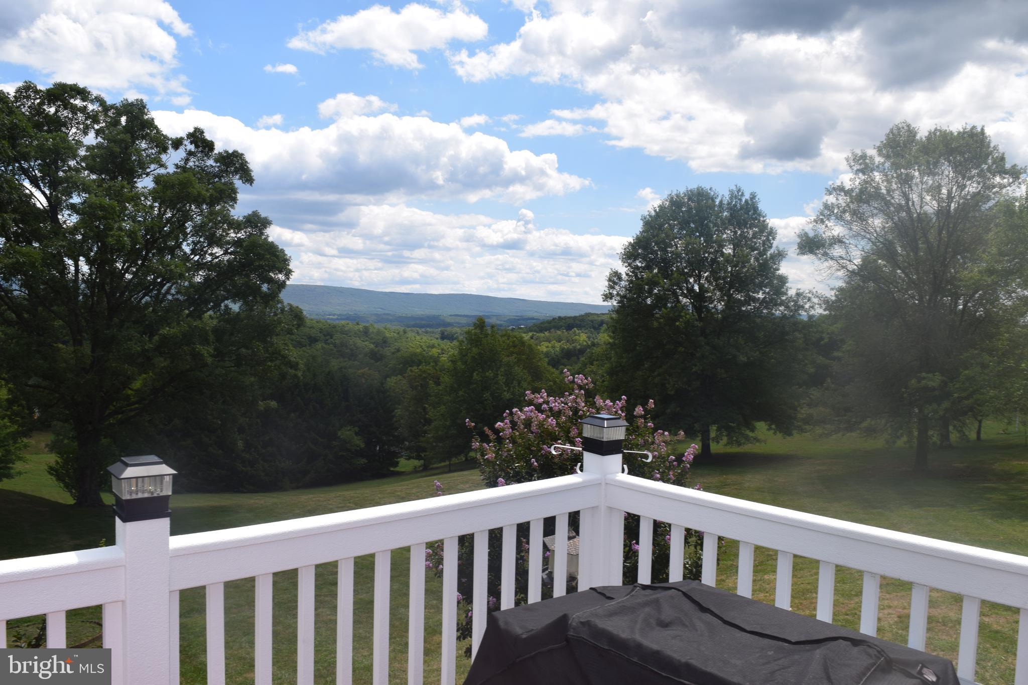 1165 Waugh Road Berkeley Springs, WV 25411 - Photo 20 of 86
