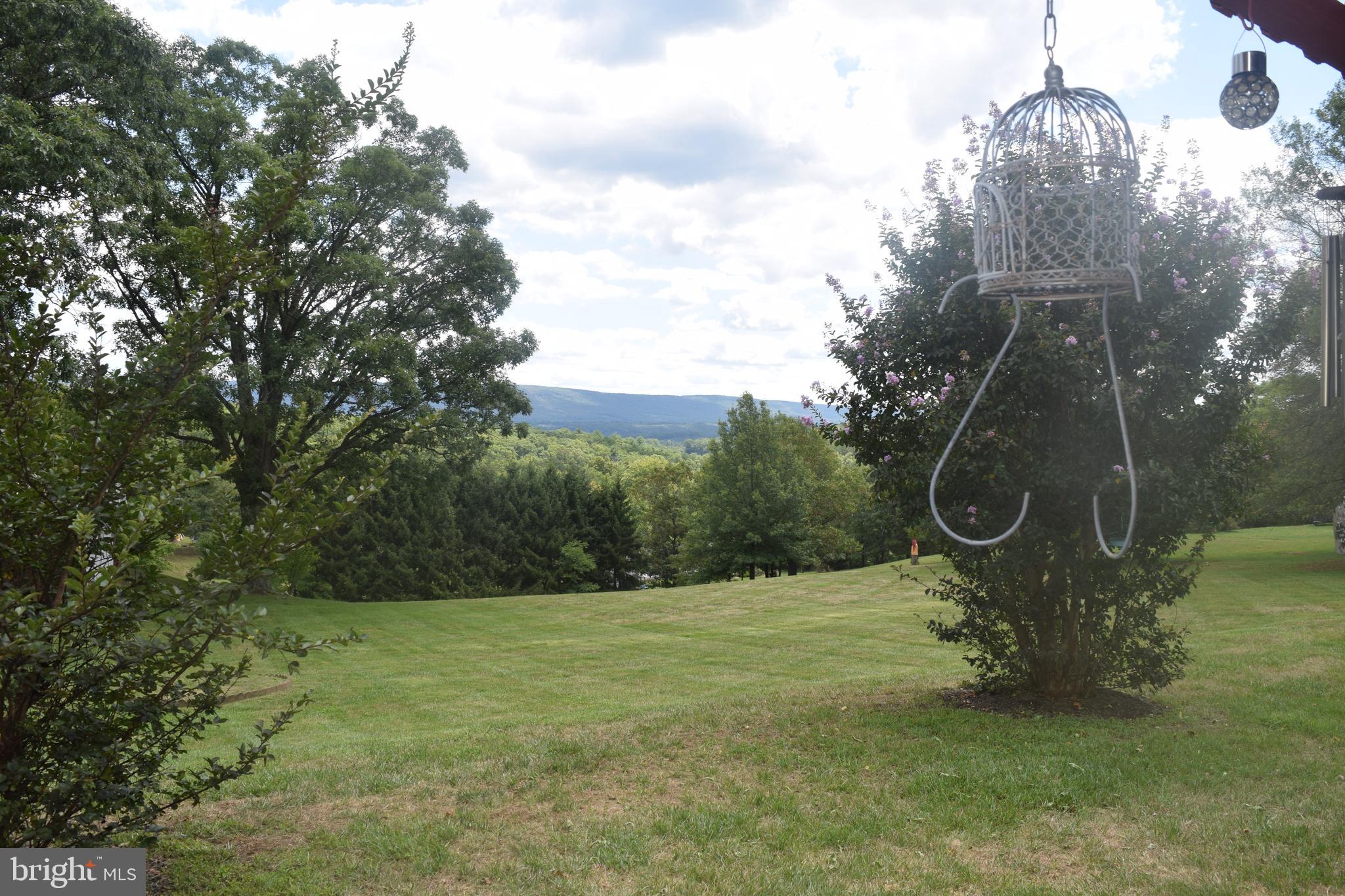 1165 Waugh Road Berkeley Springs, WV 25411 - Photo 2 of 86