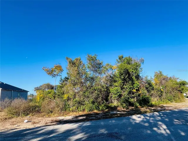 a view of a big yard with wooden fence
