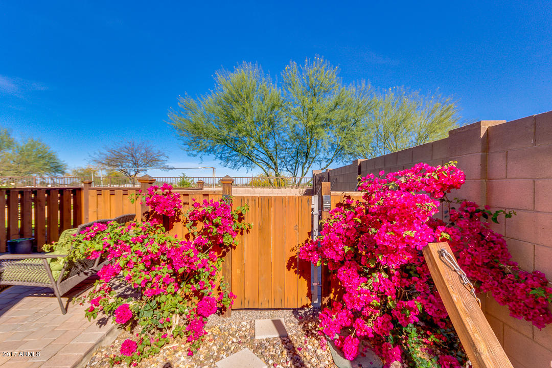7586 South Boxelder Street Gilbert, AZ 85298 - Photo 26 of 34 58-Boxelder