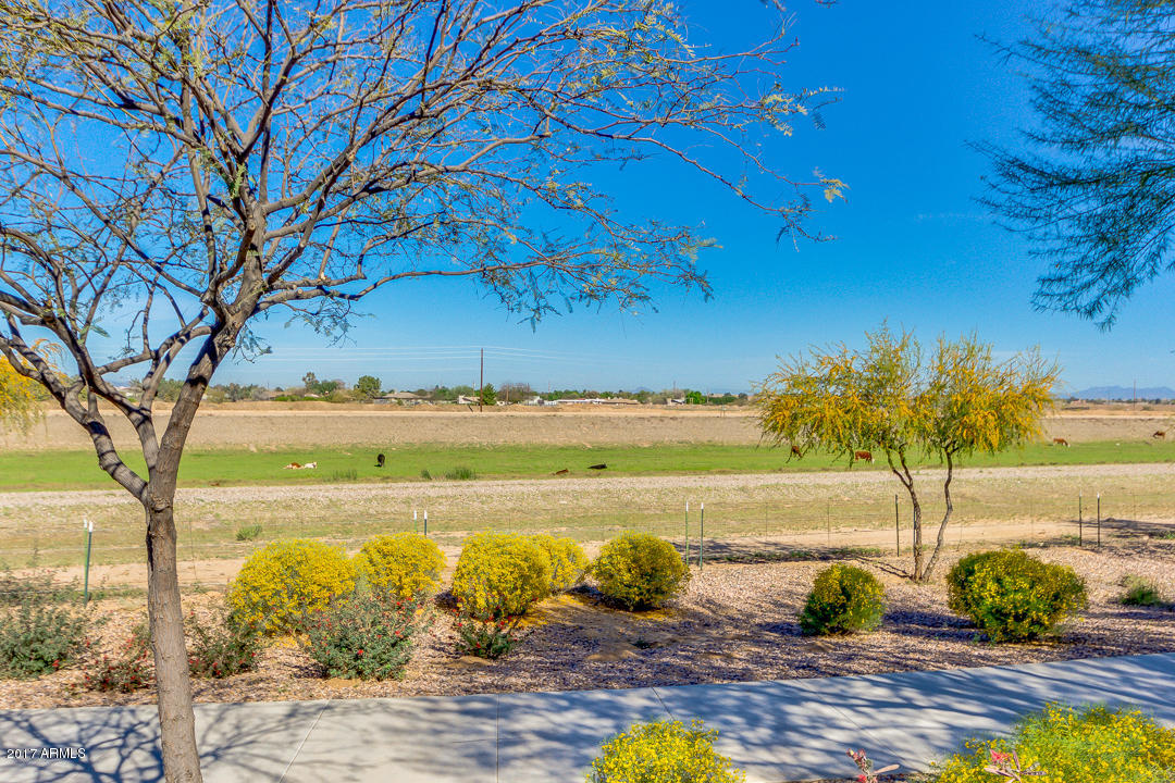 7586 South Boxelder Street Gilbert, AZ 85298 - Photo 27 of 34 trai;f;ier