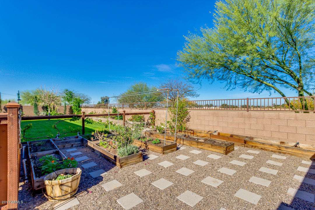 7586 South Boxelder Street Gilbert, AZ 85298 - Photo 3 of 34 gardenflier
