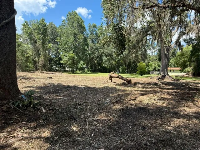 a view of a yard with plants and trees