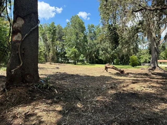 a backyard of a house with lots of green space