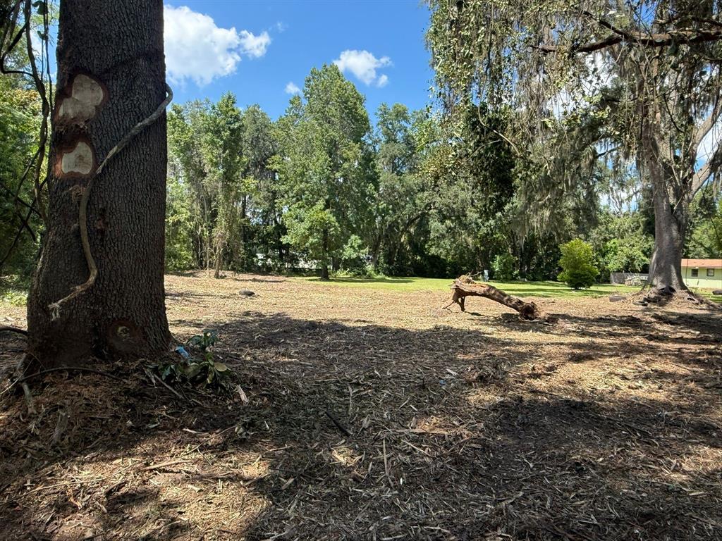 0 Northeast Katrina Glen Lake City, FL 32055 - Photo 11 of 23 a backyard of a house with lots of green space