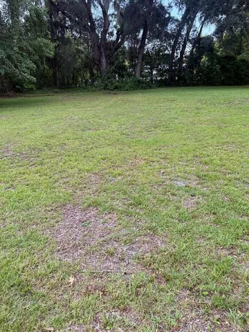 a view of a field with trees in background