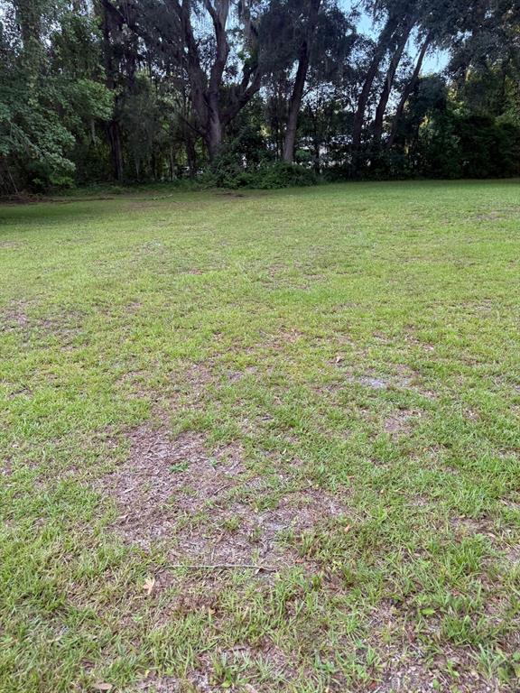 0 Northeast Katrina Glen Lake City, FL 32055 - Photo 12 of 23