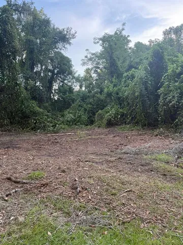 a big yard with lots of green space