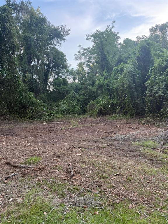 0 Northeast Katrina Glen Lake City, FL 32055 - Photo 13 of 23 a view of a field with trees in background