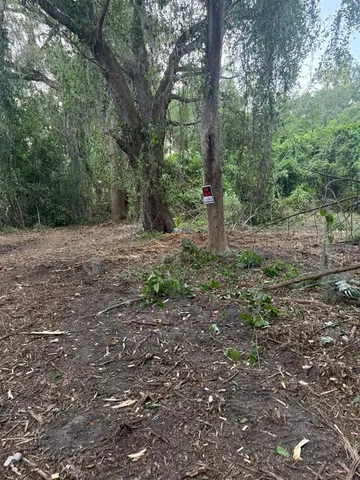 a view of outdoor space with trees