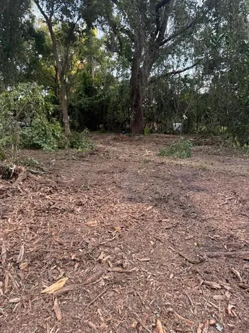 a view of outdoor space with trees