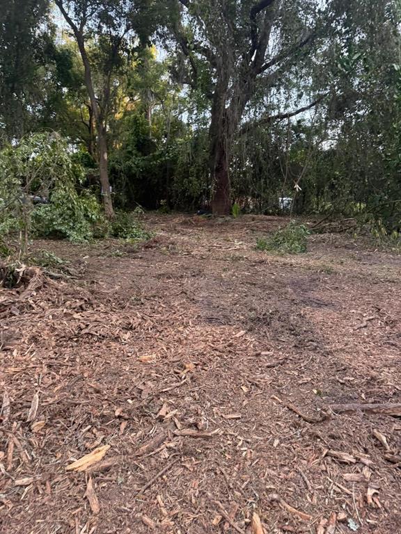 0 Northeast Katrina Glen Lake City, FL 32055 - Photo 15 of 23 a view of outdoor space with trees